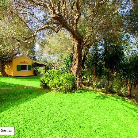 House In The Olive Garden Apartment Agios Ioannis  Luaran gambar