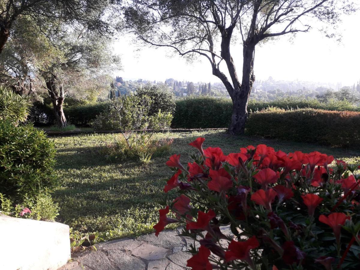 House In The Olive Garden Apartment Agios Ioannis  Luaran gambar