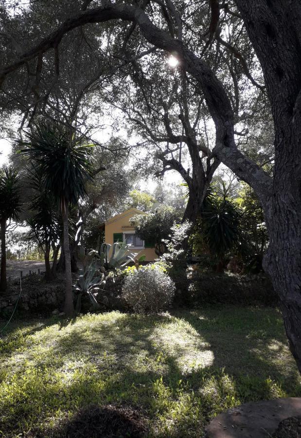 House In The Olive Garden Apartment Agios Ioannis  Luaran gambar