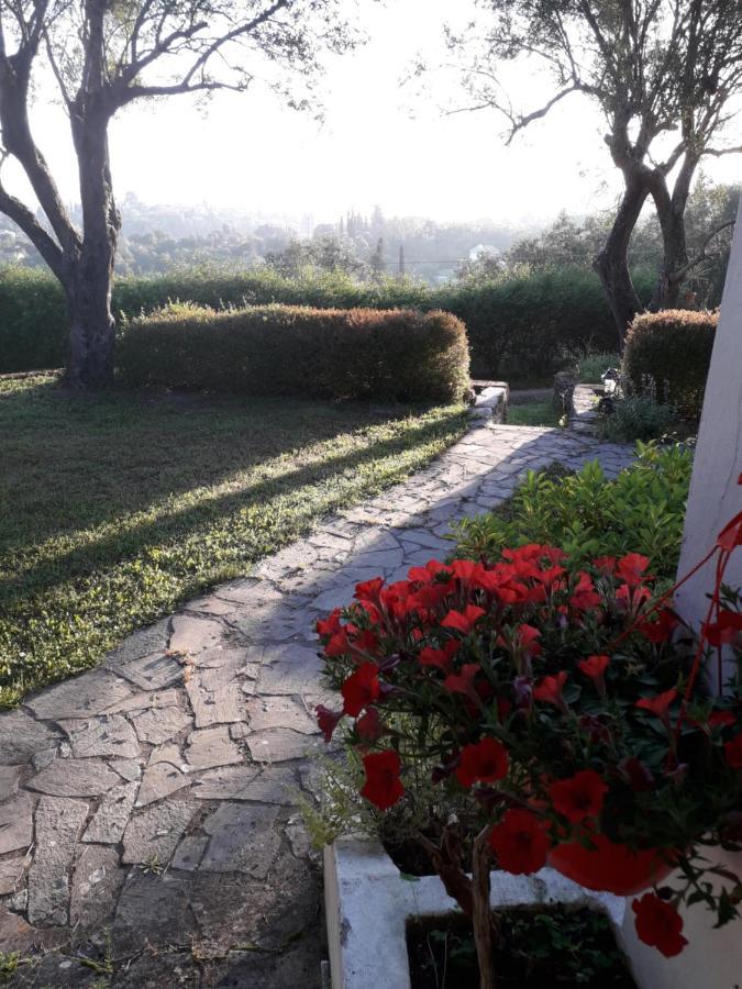 House In The Olive Garden Apartment Agios Ioannis  Luaran gambar