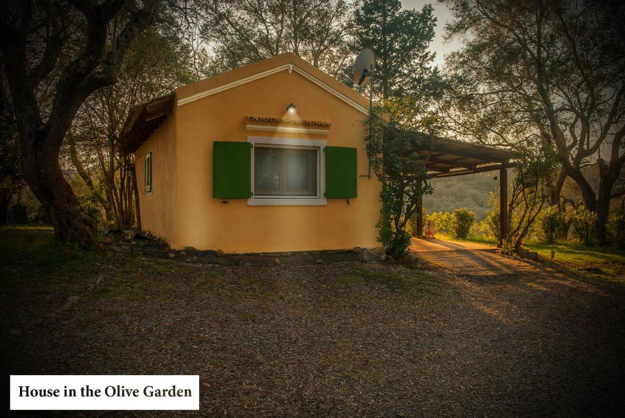 House In The Olive Garden Apartment Agios Ioannis  Luaran gambar