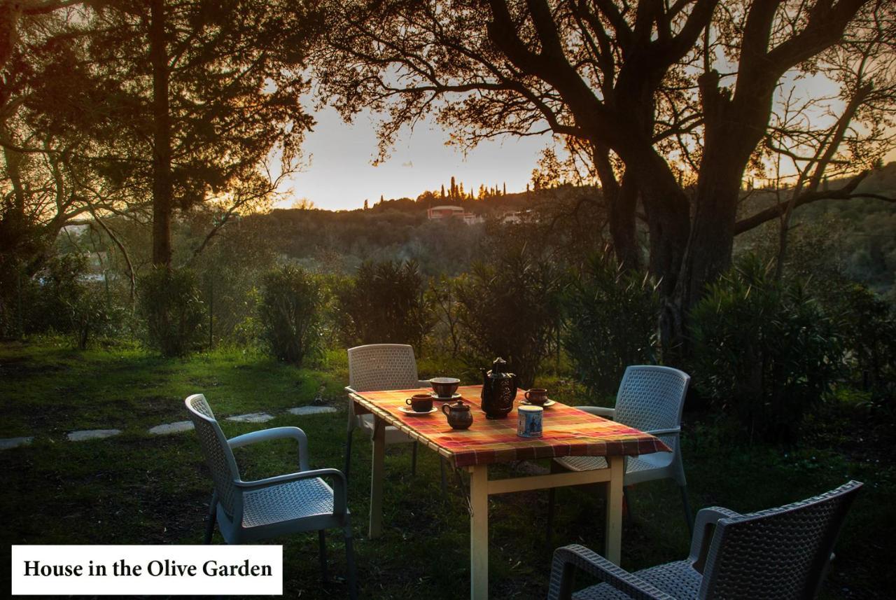 House In The Olive Garden Apartment Agios Ioannis  Luaran gambar