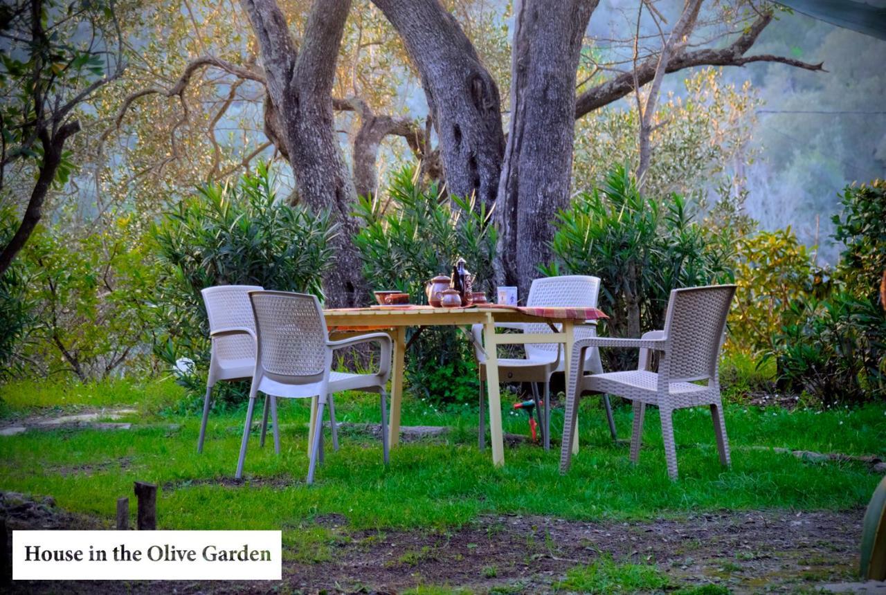 House In The Olive Garden Apartment Agios Ioannis  Luaran gambar