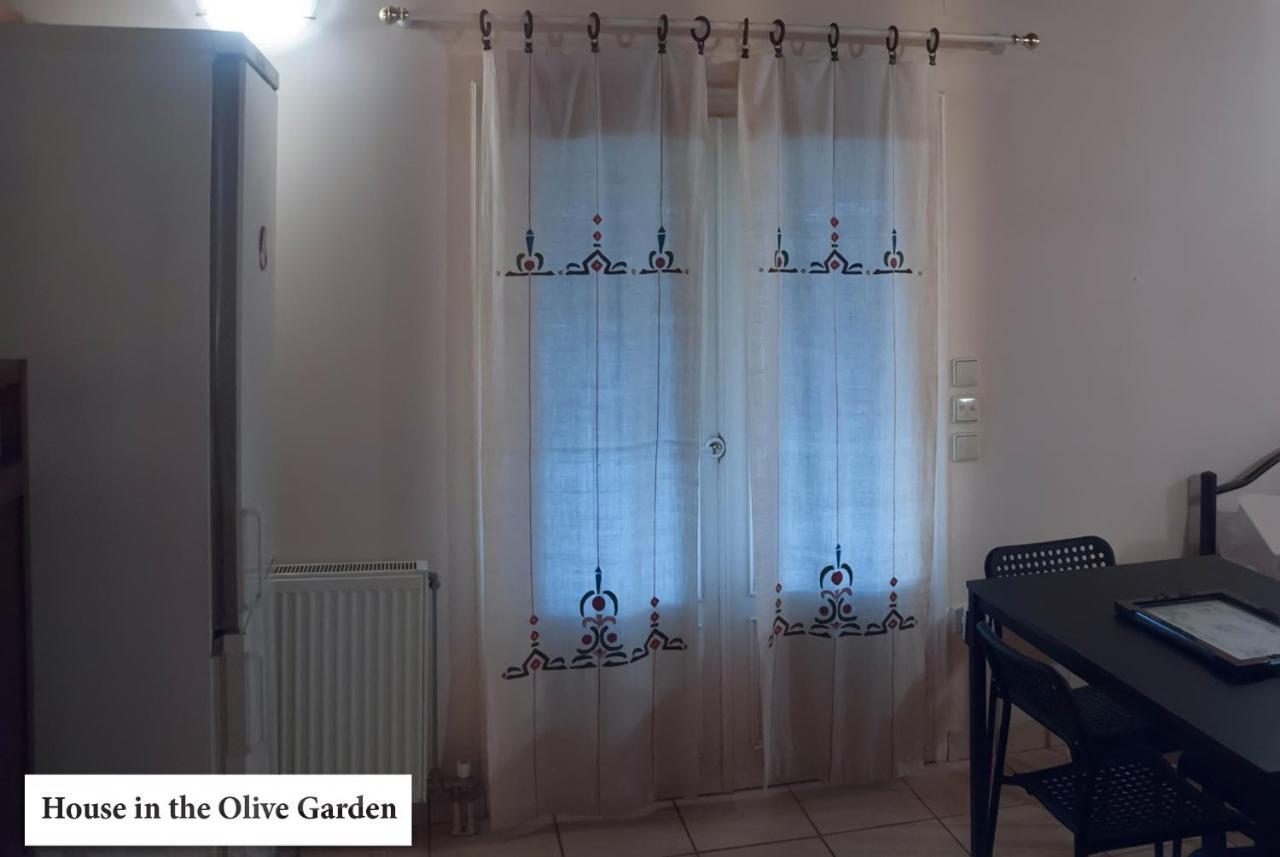 House In The Olive Garden Apartment Agios Ioannis  Luaran gambar