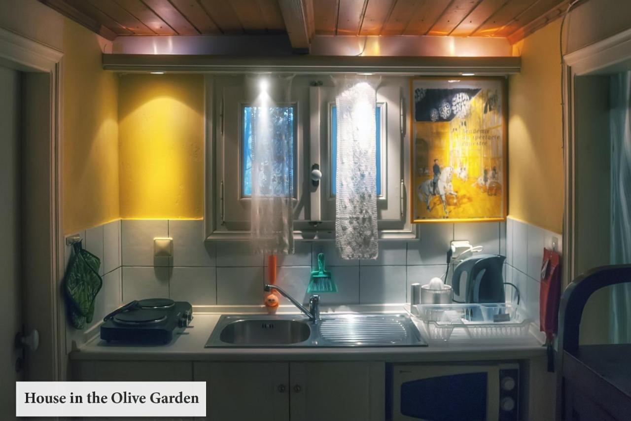 House In The Olive Garden Apartment Agios Ioannis  Luaran gambar