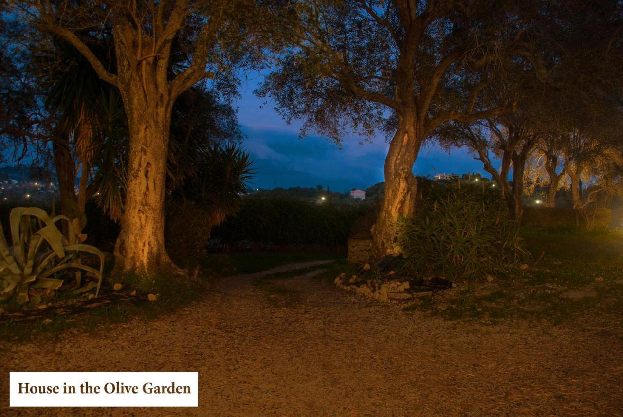 House In The Olive Garden Apartment Agios Ioannis  Luaran gambar
