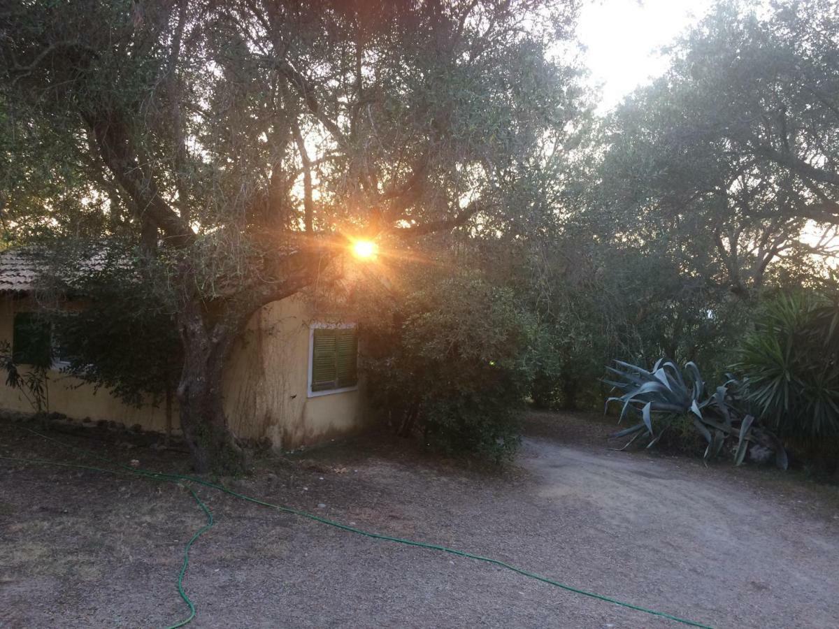 House In The Olive Garden Apartment Agios Ioannis  Luaran gambar