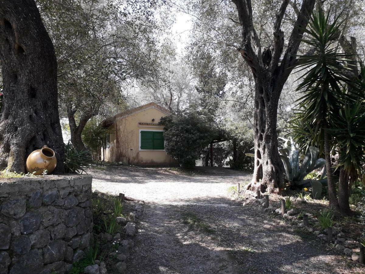 House In The Olive Garden Apartment Agios Ioannis  Luaran gambar
