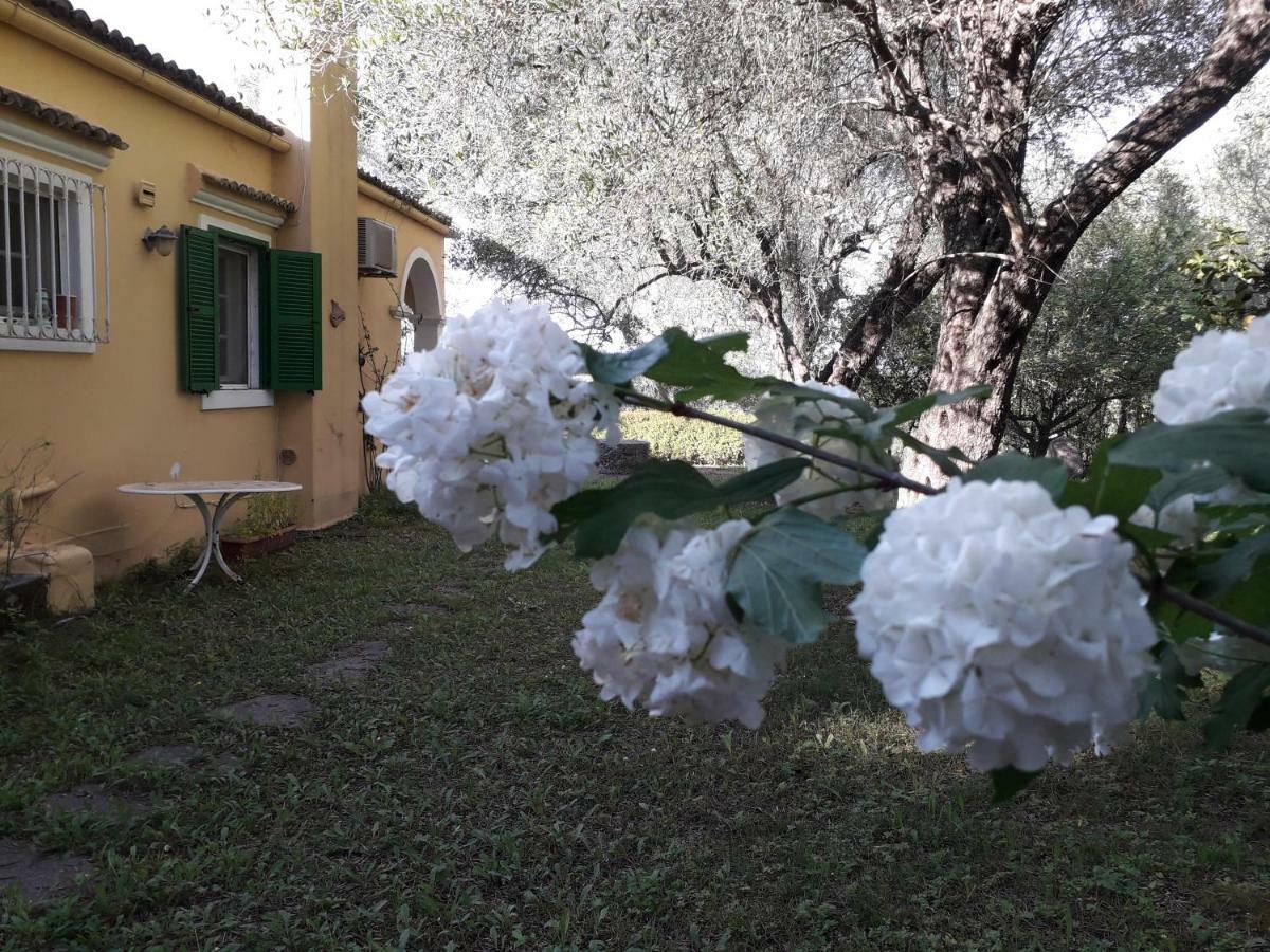 House In The Olive Garden Apartment Agios Ioannis  Luaran gambar