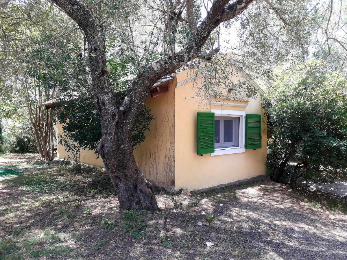 House In The Olive Garden Apartment Agios Ioannis  Luaran gambar