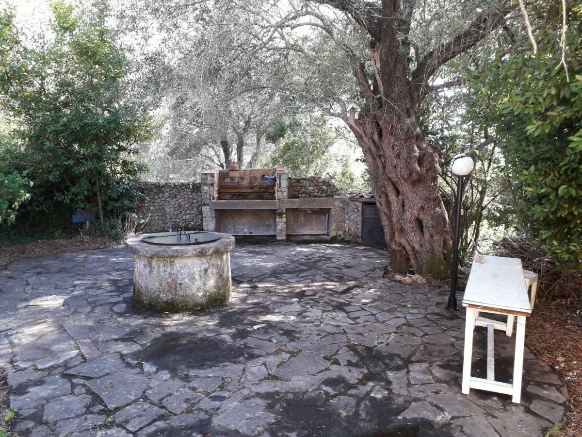 House In The Olive Garden Apartment Agios Ioannis  Luaran gambar